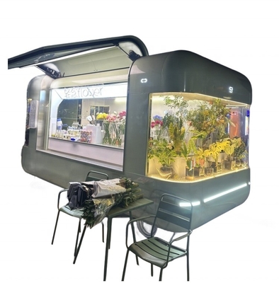 Fast-Food-Truck in Ghana Straße Mobil-Catering Elektrische Hot Dog Eiscreme Foodtruck