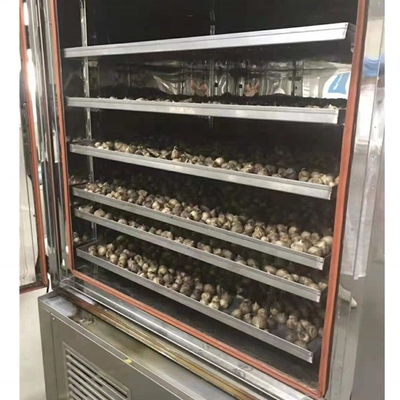 2022 Inlandsdorf Aktive Nachfrage Schwarze Knoblauch Fermentationsmaschine mit geringer Investition