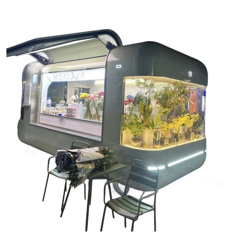 Fast-Food-Truck in Ghana Straße Mobil-Catering Elektrische Hot Dog Eiscreme Foodtruck